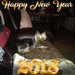 Meet your Posher, Sherry